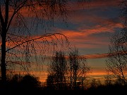 68 Betulle nei colori del tramonto